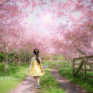 Spring Digital Photography Backdrop Portrait Background - Etsy