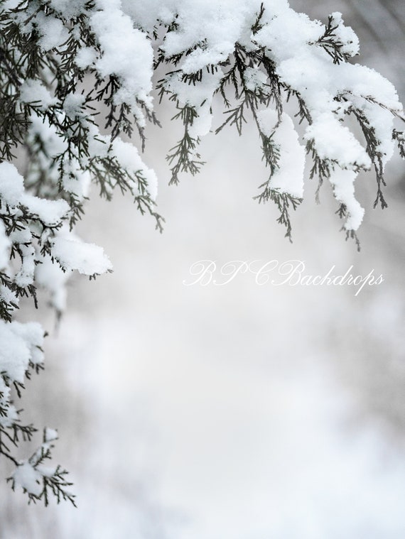 Winter Photography Backdrop Christmas Background Portrait