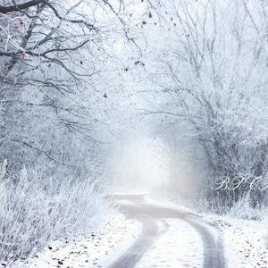 Winter Wonderland Backdrop, Photography Backdrop, Winter Forest, Winter Background, Snow Backdrop, Nature, Digital Download