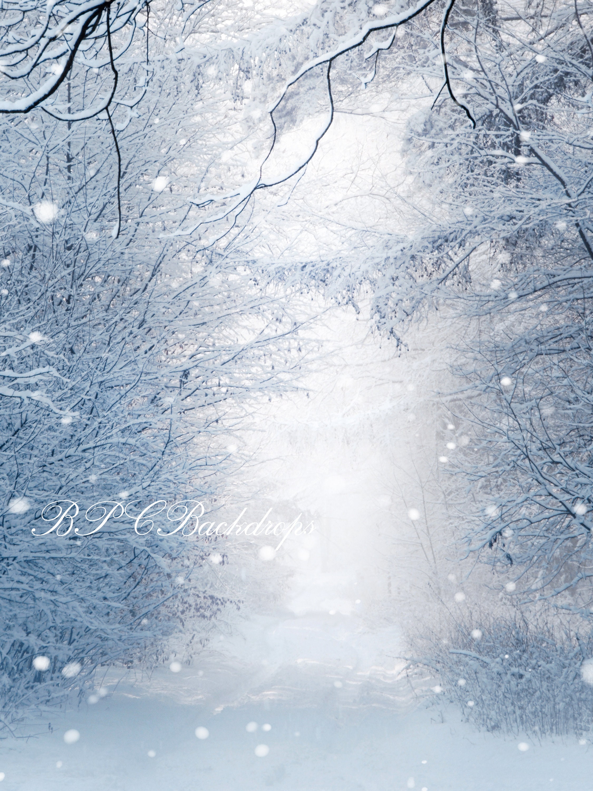 Winter Wonderland Wedding Photography Background 7x5ft White Snow