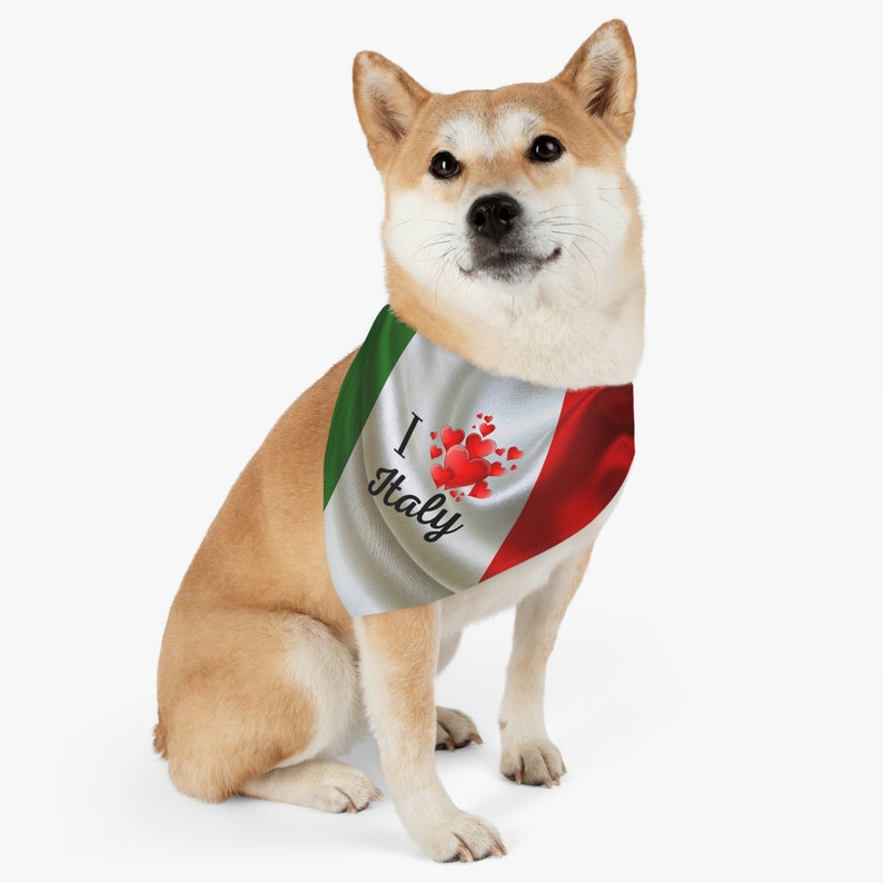 Italy Flag Dog Bandana Italian Flag Bandanas Flag of Italy Etsy