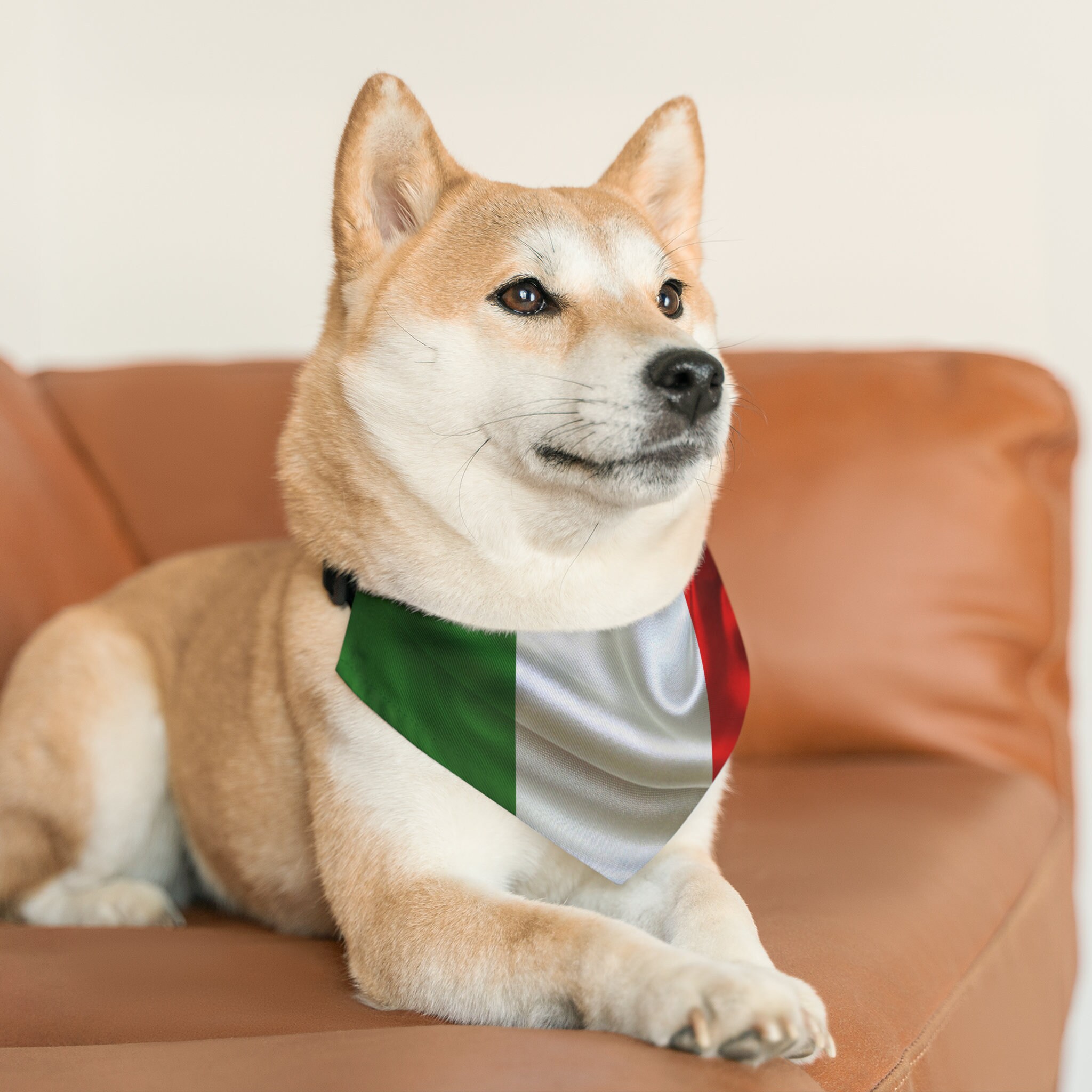 Italian Flag Pet Bandana Italy Flag Bandanas Flag of Italy Etsy