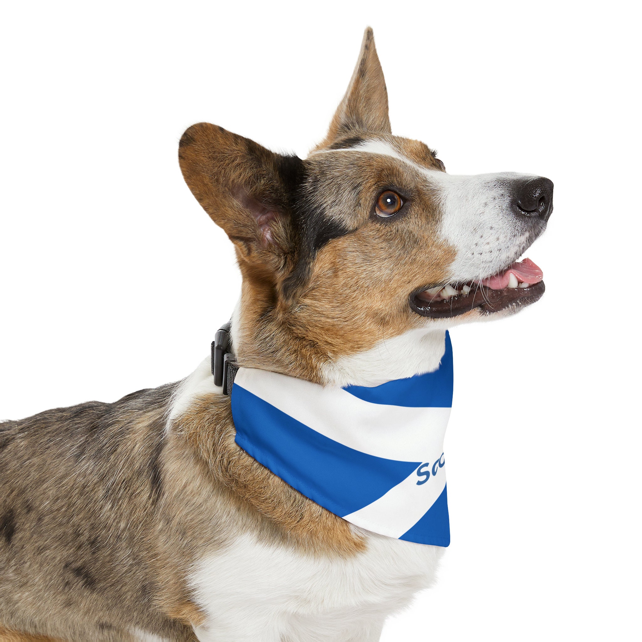 Scotland Flag Dog Bandana Over the Collar, I Love Scotland Dog Bandana ...