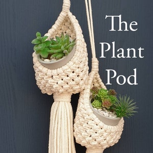 May include: Two macrame plant hangers with cream-coloured cords and a woven pattern. Each hanger holds a small potted succulent plant.