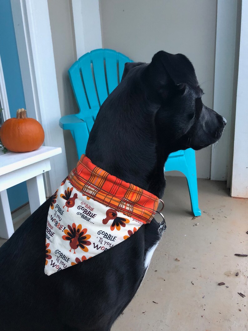 Thanksgiving Over the Collar Dog Bandana