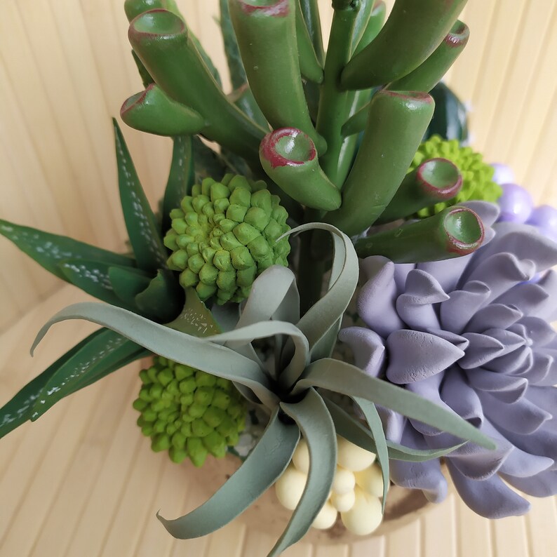 decor handmade exclusive gift interior composition gift succulents composition of succulents cactus ecodecor