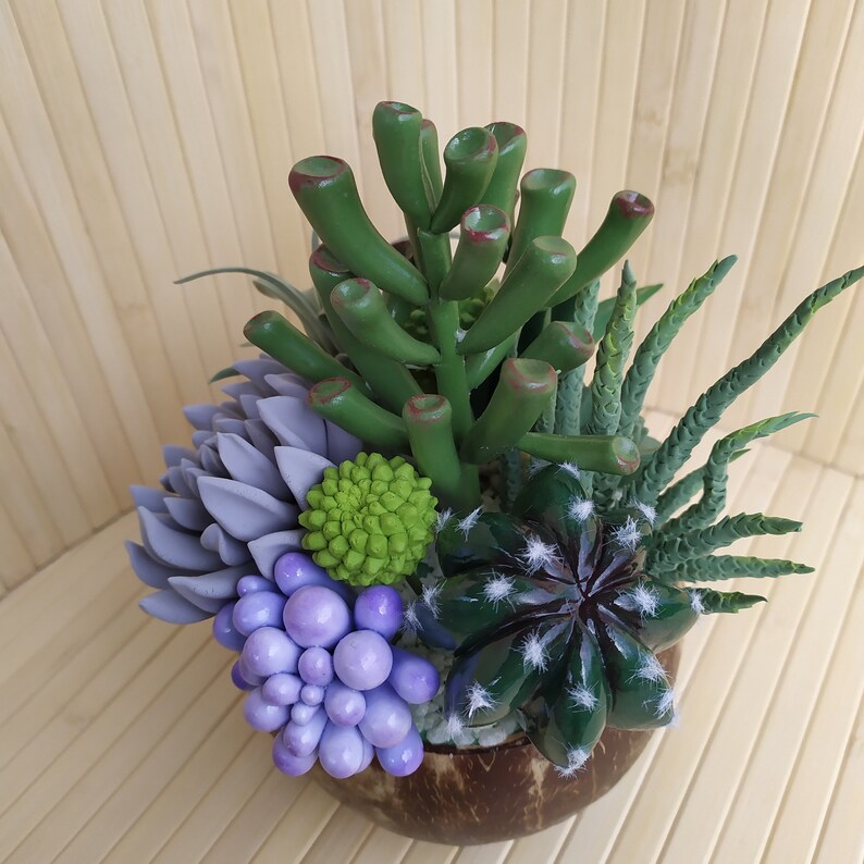 decor handmade exclusive gift interior composition gift succulents composition of succulents cactus ecodecor