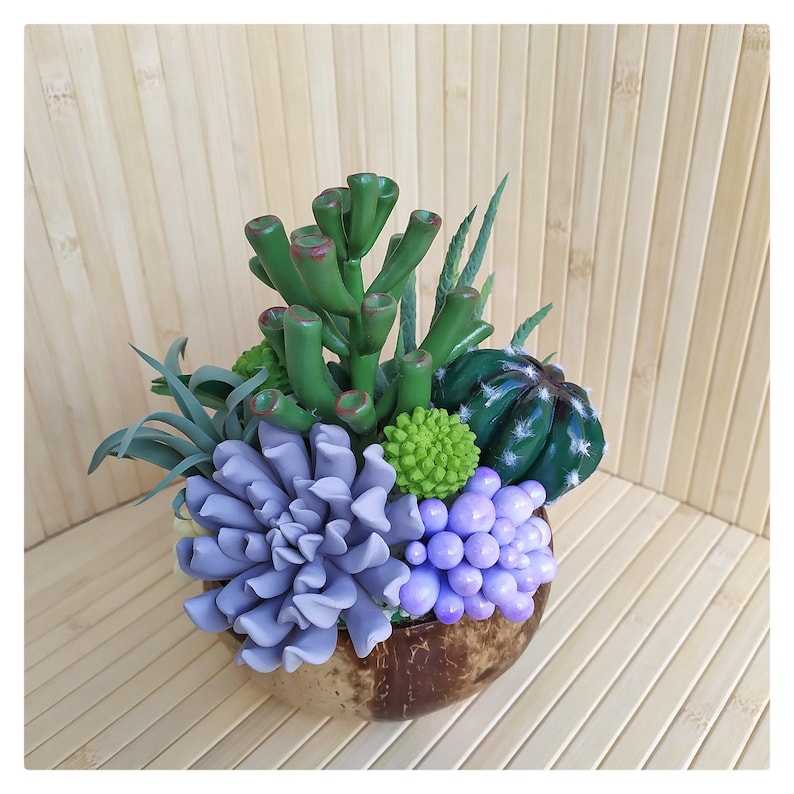 decor handmade exclusive gift interior composition gift succulents composition of succulents cactus ecodecor