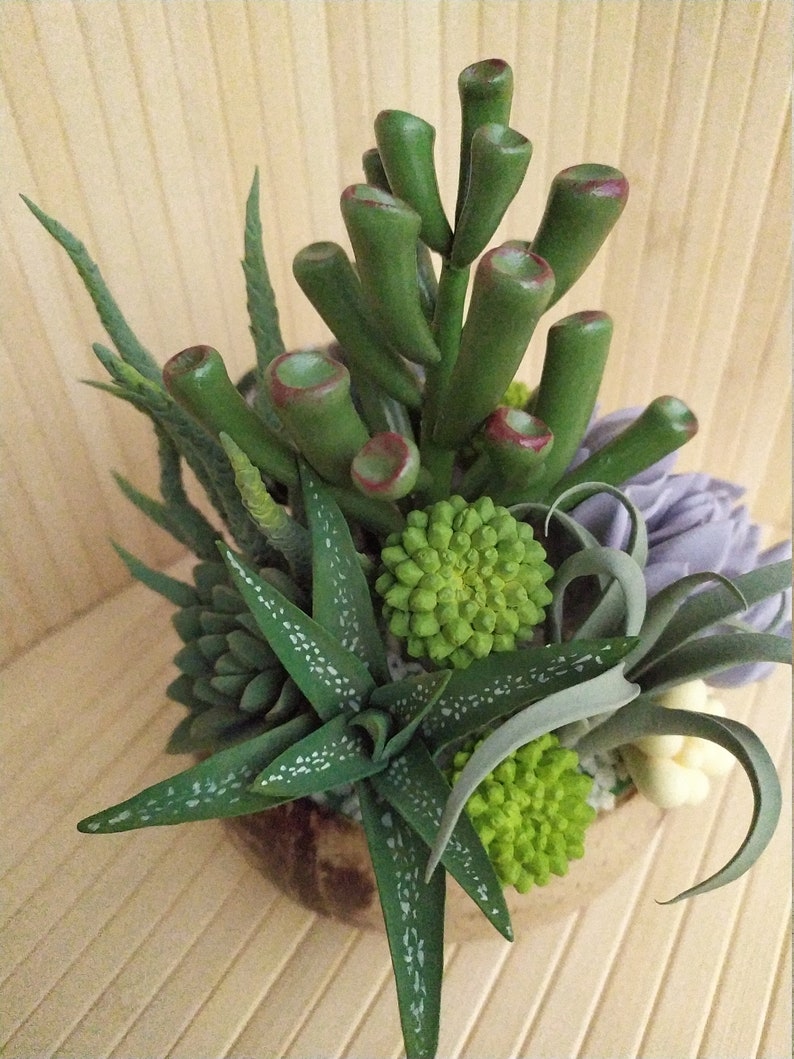 decor handmade exclusive gift interior composition gift succulents composition of succulents cactus ecodecor