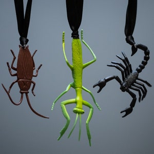 May include: Three plastic insect ornaments hanging from black ribbon. A brown cockroach, a green praying mantis, and a black scorpion.