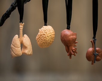 Toy replica human organ ornament, anatomy ornament, medical ornament