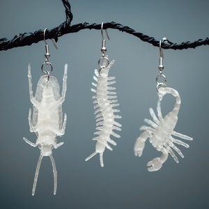 May include: Three pairs of earrings featuring clear plastic insect designs. The earrings are hanging from a black branch. The insects are a cockroach, a centipede, and a scorpion.