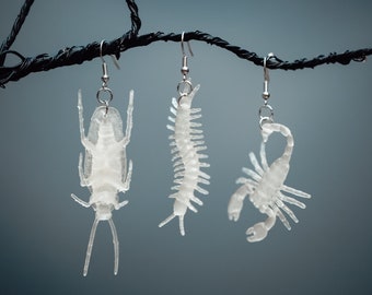 May include: Three pairs of earrings featuring clear plastic insect designs. The earrings are hanging from a black branch. The insects are a cockroach, a centipede, and a scorpion.