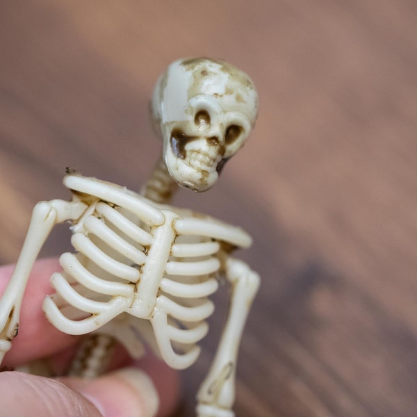 Miniature Plastic Skeleton for Dollhouse, Crafts