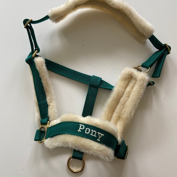 Personalized horse halter halter green