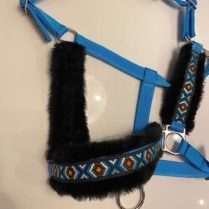 Inka horse halter / halter in blue
