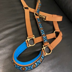 Inka horse halter / halter color curry