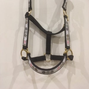 Especial Shetty/Pony Halter, negro
