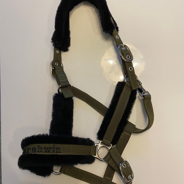 Personalized horse holster halter olive green