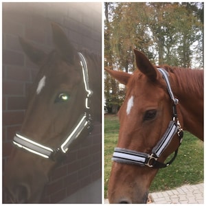 Étui pour chevaux avec réflecteurs, noir