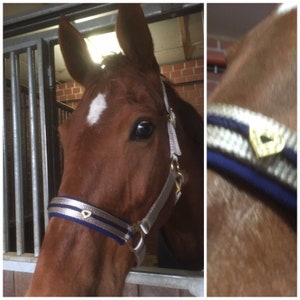 Horse halter / halter horse beige