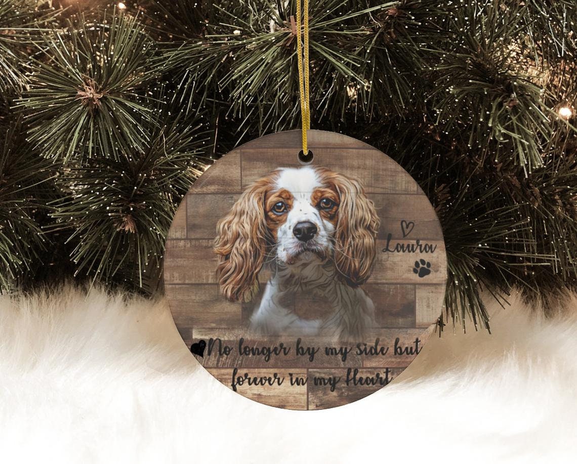 Pet memorial ornament pet sympathy gift personalized pet