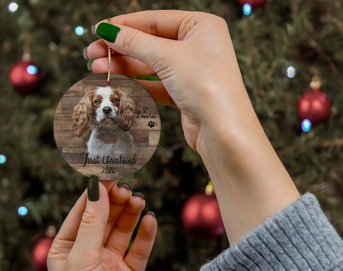 Pet memorial ornament pet sympathy gift personalized pet