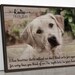 Pet Memorial Gift Pet Gift for Him Dog Dad Gift Personalized Gift Custom Portrait Dog Memorial Gift Pet Sympathy Gift Remembrance Gift 