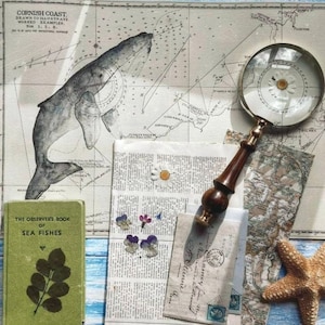Mapa de ballenas vintage A3