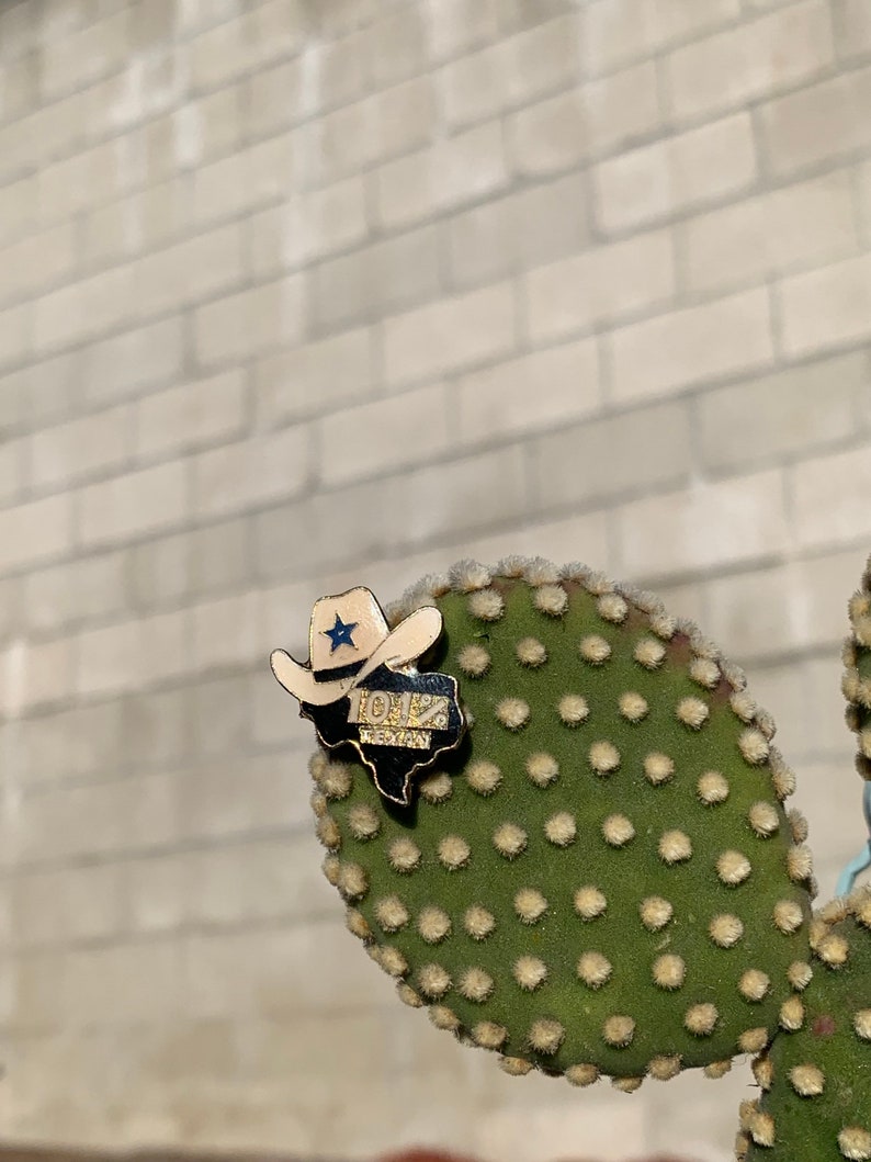 Vintage western 101/% Texan pin