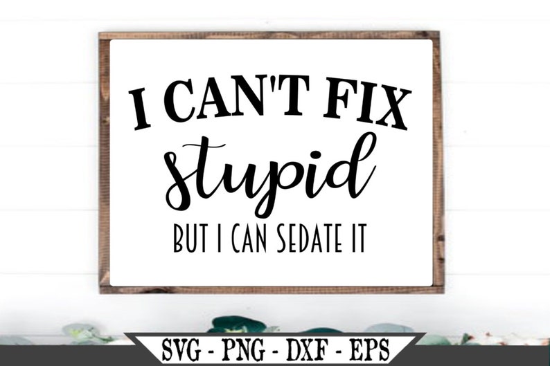 I Cant Be This Stupid