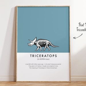 Dinosaur Facts Print Set Nursery and Kids Bedroom dino wall decor for girls and boys room and playroom, dinosaur print wall art image 2