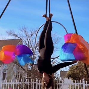 Pair of Belly Dance Costume Silk Fan Veils Multi Color (Free Case) Flow fan