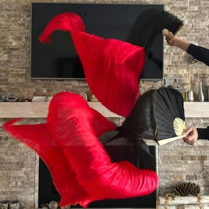 Pair of BellyDance Costume 100% Silk Fan Veils (Free Case)