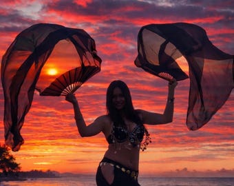 Pair of Belly Dance Costume Silk Fan Veils (Free Case)
