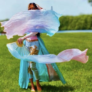 Pair of Belly Dance Costume Silk Fan Veils (Free Case)