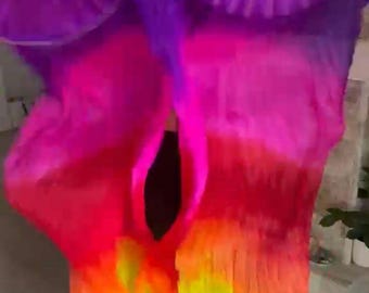 Pair of Multi Belly Dance Costume Silk Fan Veils (Multi Color) Free Case