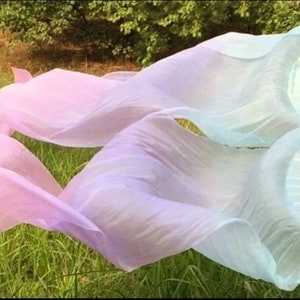 Pair of Belly Dance Costume Silk Fan Veils (Free Case)