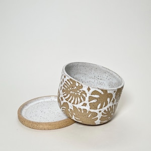 Puede incluir: Una maceta de cerámica blanca y beige moteada con un platillo a juego. La maceta presenta un patrón de hojas blancas en el exterior beige. El interior es blanco. El platillo es redondo y tiene un borde beige.