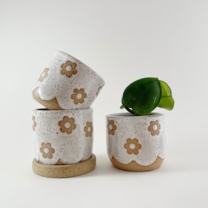 May include: A set of four ceramic flower pots. The pots are white with brown flower designs and a speckled finish. One pot holds a green plant. The pots have a scalloped edge and sit on a matching saucer.