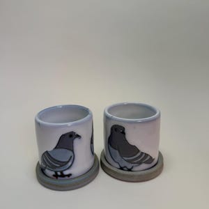 Macetas Mini Pigeon (SEGUNDOS DE SERVICIO)