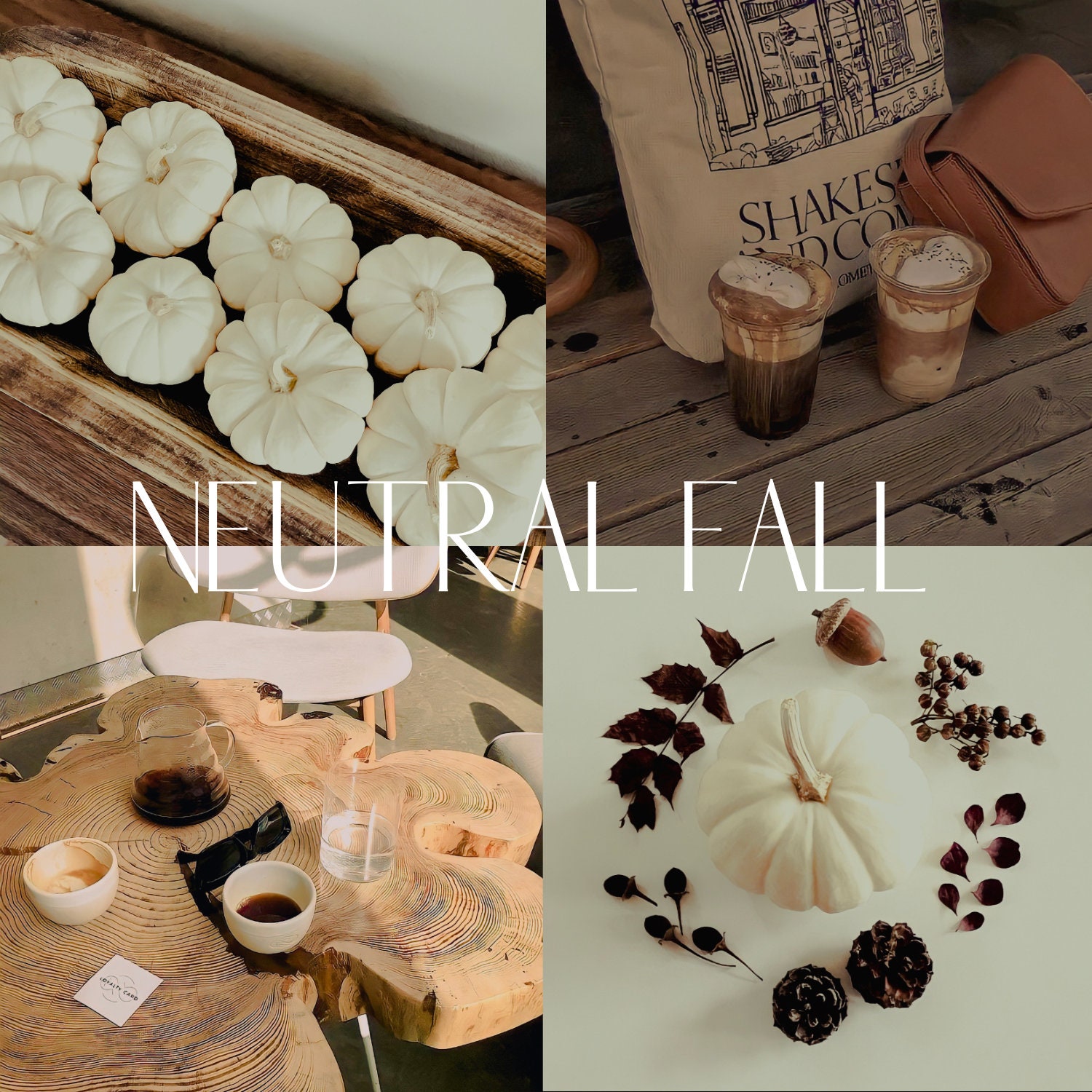 Neutral fall Lightroom mobile and desktop presets |natural presets |outdoor presets |nature presets |rustic presets |autumn presets |coffee