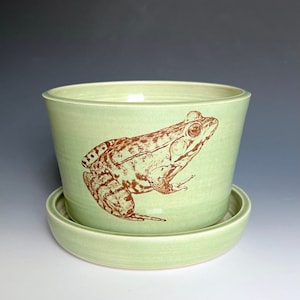Handmade Ceramic Frog Flowerpot