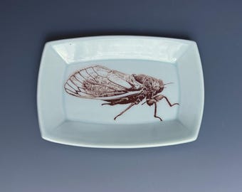 Handmade Porcelain Cicada Mini Tray