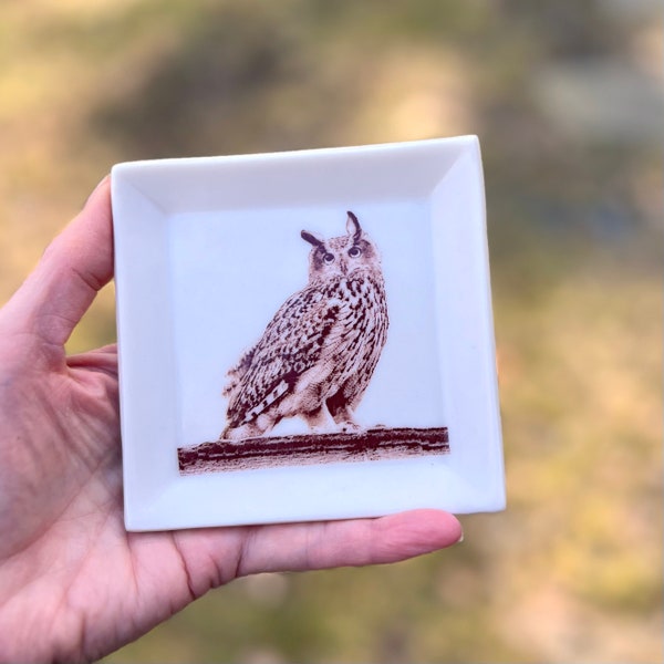 Flaco (The Eurasian Eagle-Owl) Mini Tray