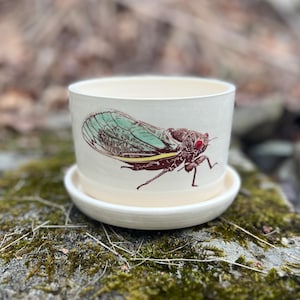 Handmade Ceramic Cicada Flowerpot