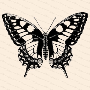 Papillon à queue d’hirondelle victorienne (Papilio machaon) Vector Clip Art | | d’insectes vintage Téléchargement instantané SVG PNG JPG