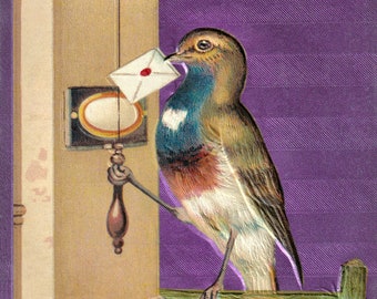 Antique Postcard DOWNLOAD | Bird with Envelope in Beak Ringing Doorbell | Edwardian Bird Delivering Mail purple background png jpg digital