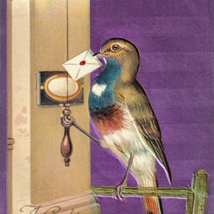 Antieke Ansichtkaart DOWNLOAD | Vogel met envelop in snavel rinkelende deurbel | Edwardian Bird Delivering Mail paarse achtergrond png jpg digitale