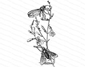 Victorian Flies and Wild Flowers Vector Clip Art | Antique Vintage Floral, Insects | Helomyza Fly Instant Download  SVG PNG JPG